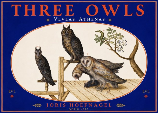 Joris Hoefnagel Vlvlas Athenas No5 - Plakat
