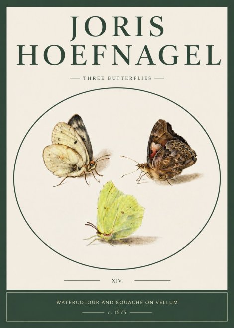 Joris Hoefnagel Three Butterflies II No2 - Plakat