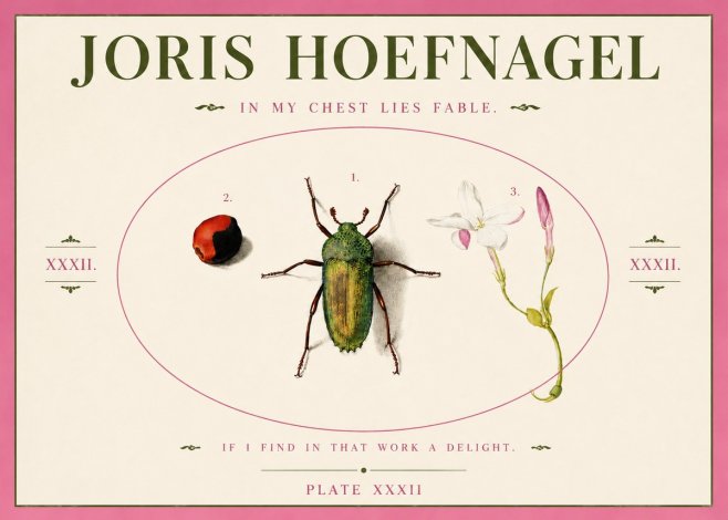 Joris Hoefnagel In My Chest Lies Fable No3 - Plakat