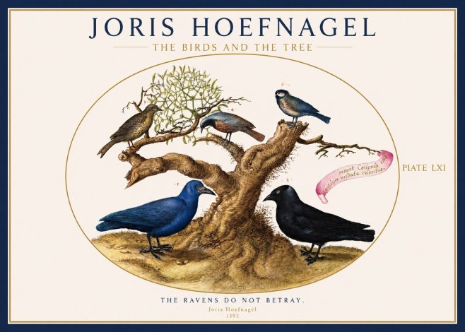 Joris Hoefnagel The Birds and the Tree No1 - Plakat