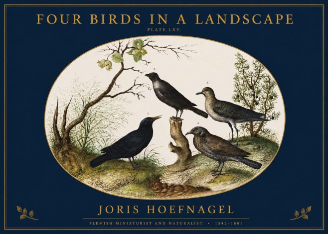 Joris Hoefnagel Four Birds in a Landscape No2 - Plakat