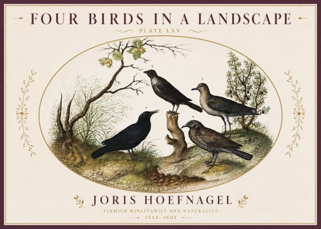 Joris Hoefnagel Four Birds in a Landscape No4 - Plakat