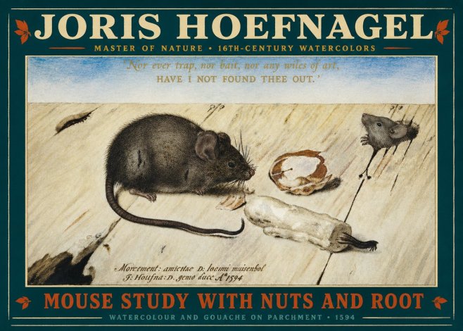 Joris Hoefnagel Mouse Study with Nuts and Root No2 - Plakat