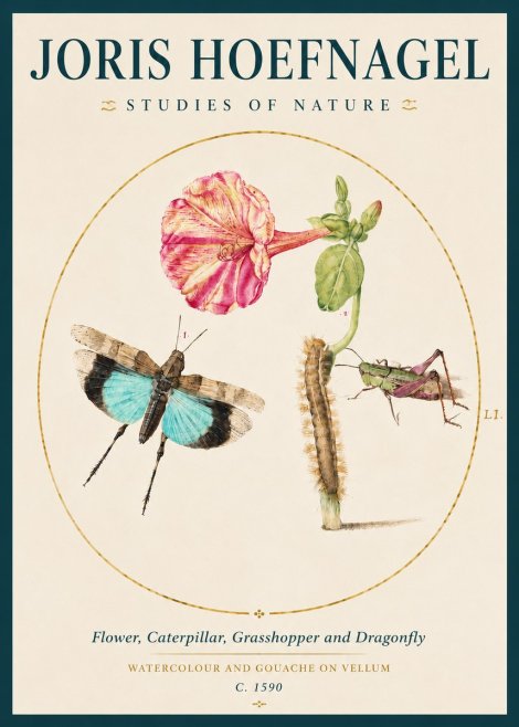 Joris Hoefnagel Plate L1. Studies of Insects and Plants No4 - Plakat