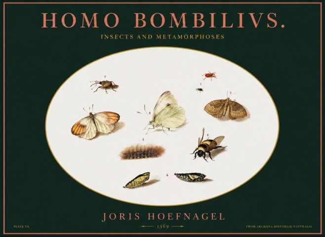 Joris Hoefnagel Homo Bombilivs. Insecta Et Metamorphoses No2 - Plakat