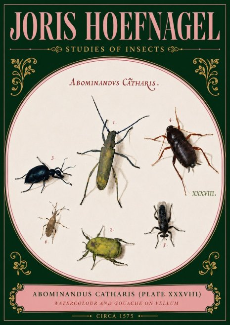 Joris Hoefnagel Abominandus Catharis (Plate Xxxviii) No5 - Plakat