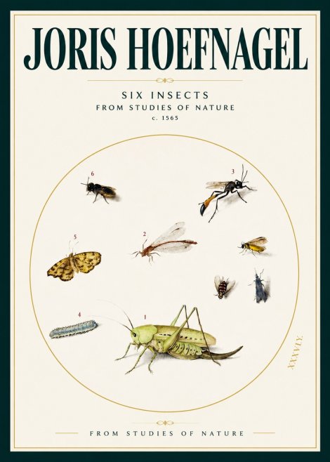 Joris Hoefnagel Six Insects from Studies of Nature C. 1565 No2 - Plakat