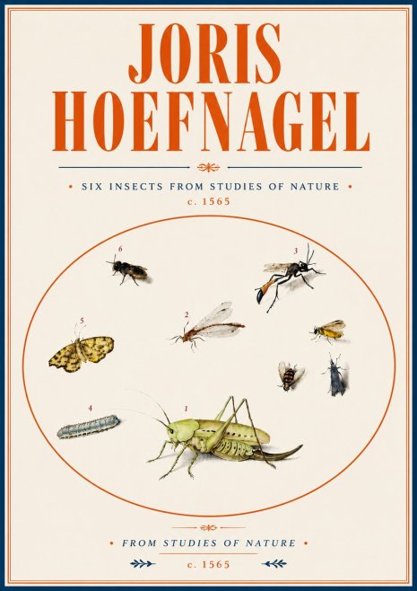 Joris Hoefnagel Six Insects from Studies of Nature C. 1565 No6 - Plakat