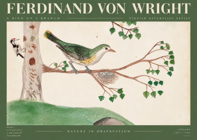 Ferdinand von Wright Green Warbler with Nest No6 - Plakat