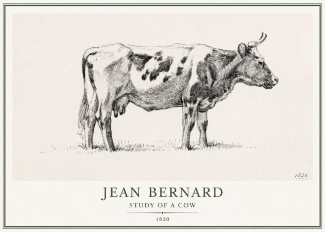 Jean Bernard Study of a Cow XX No1 - Plakat