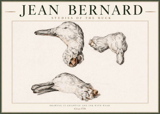 Jean Bernard Studies of the Duck No4 - Plakat