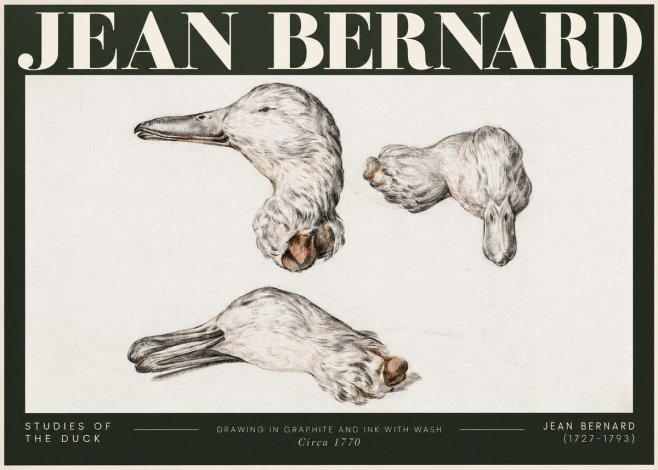 Jean Bernard Studies of the Duck No5 - Plakat