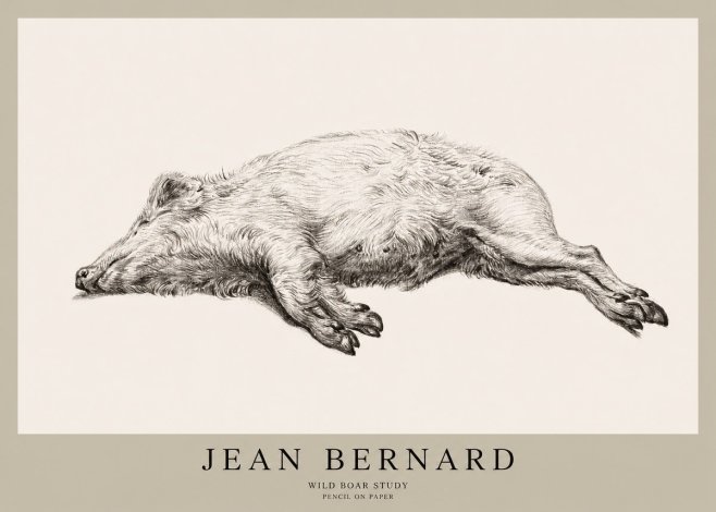 Jean Bernard Wild Boar Study No1 - Plakat