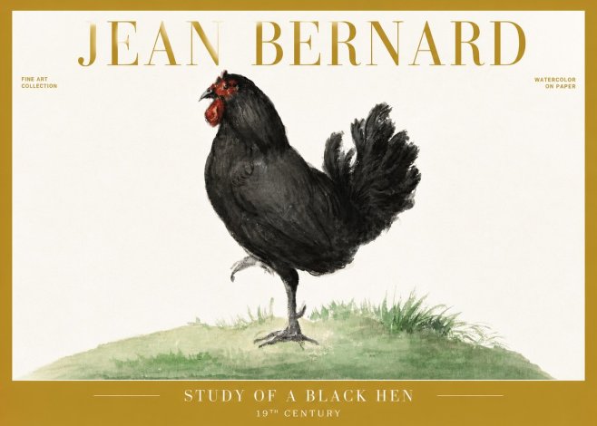 Jean Bernard Study of a Black Hen No6 - Plakat