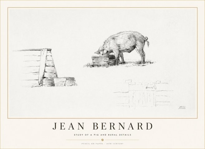 Jean Bernard Pig Study No2 - Plakat