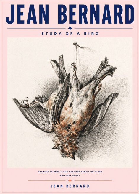 Jean Bernard Study of a Bird IV No6 - Plakat