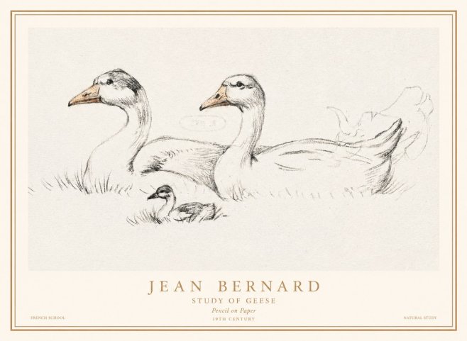 Jean Bernard Study of Geese No1 - Plakat