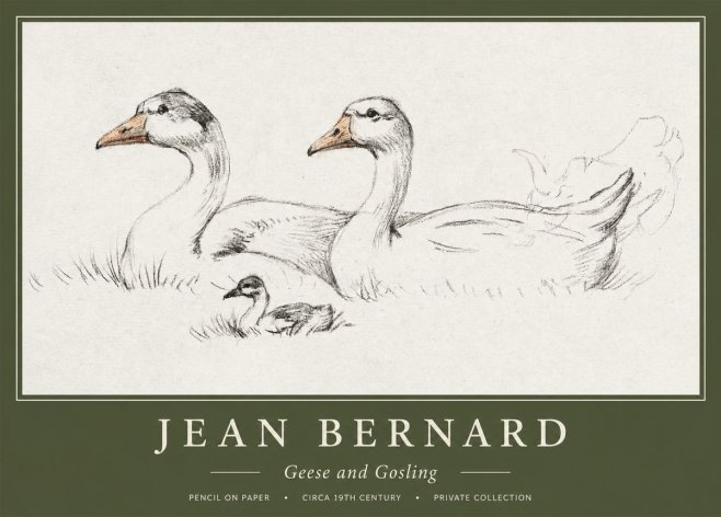Jean Bernard Study of Geese No2 - Plakat