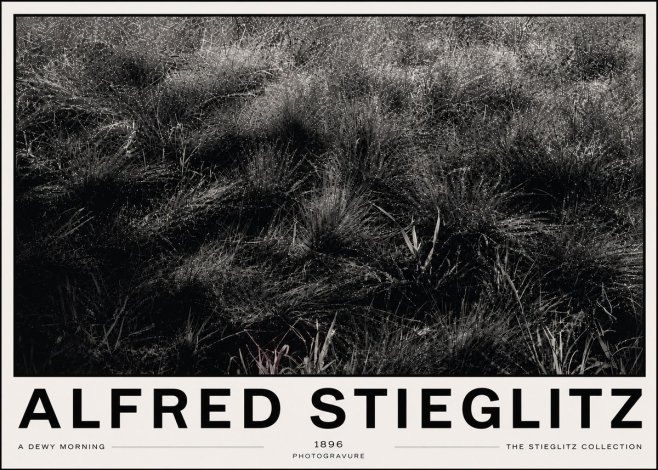 Alfred Stieglitz A Dewy Morning No6 - Plakat