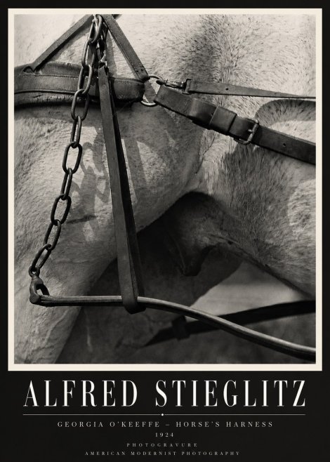 Alfred Stieglitz The Steerage I No4 - Plakat