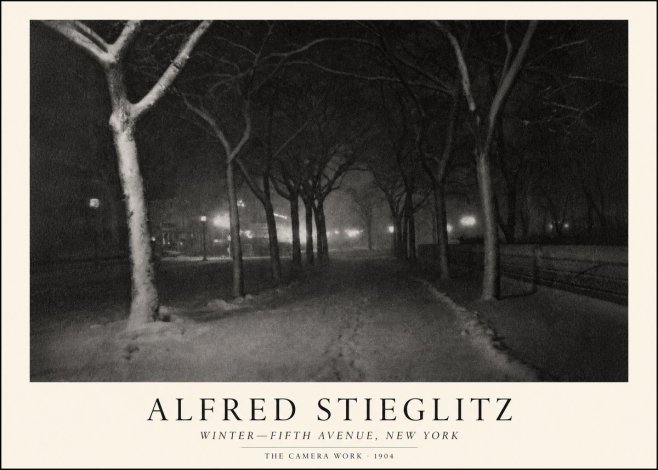 Alfred Stieglitz Winter—fifth Avenue, New York No1 - Plakat
