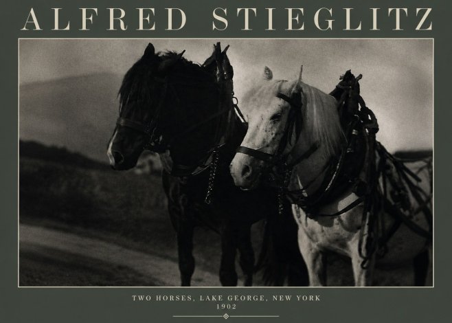 Alfred Stieglitz Two Horses, Lake George, New York No3 - Plakat