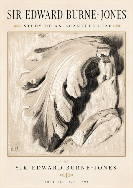 Edward Burne-Jones Study of an Acanthus Leaf No2 - Plakat