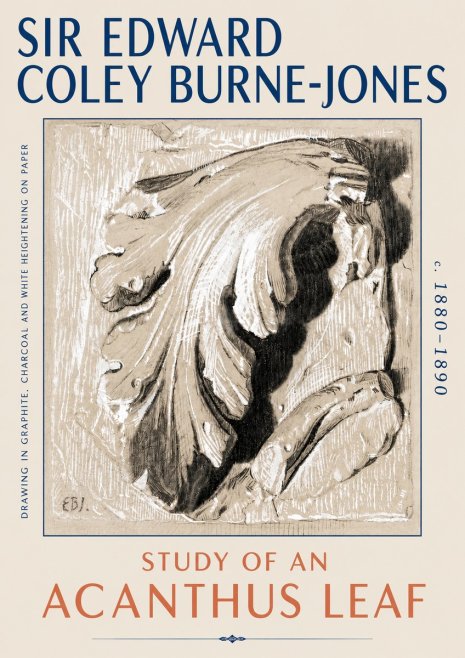Edward Burne-Jones Study of an Acanthus Leaf No6 - Plakat