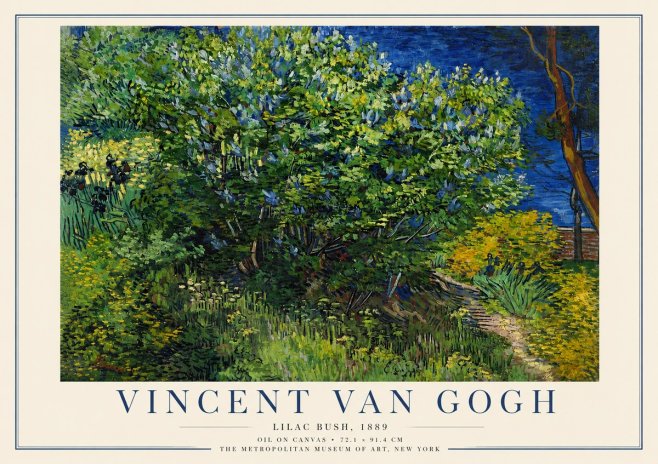 Van Gogh Lilac Bush No3 - Plakat