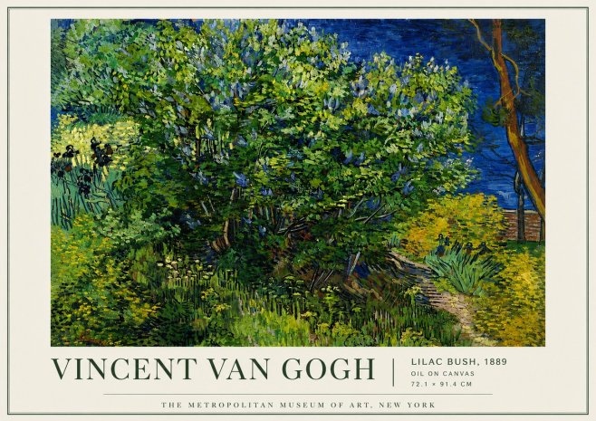 Van Gogh Lilac Bush No5 - Plakat