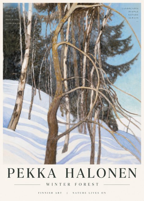 Pekka Halonen Winter Forest III No6 - Plakat