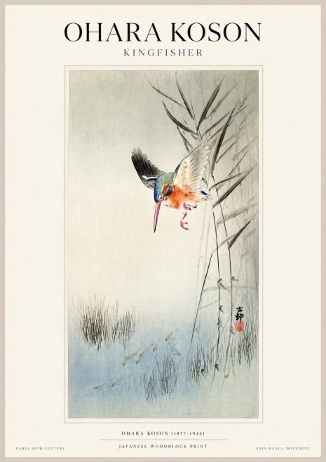 Ohara Koson Kingfisher No1 - Plakat