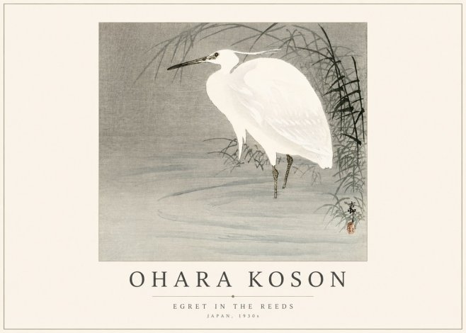Ohara Koson Egret in the Reeds No1 - Plakat