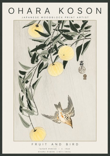 Ohara Koson Fruit and Bird No4 - Plakat