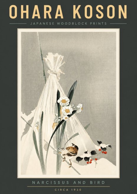 Ohara Koson Narcissus and Bird No2 - Plakat