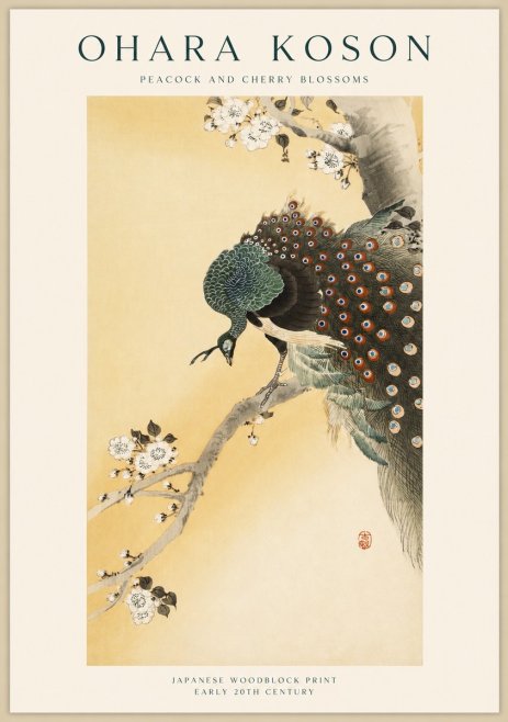 Ohara Koson Peacock and Cherry Blossoms No1 - Plakat