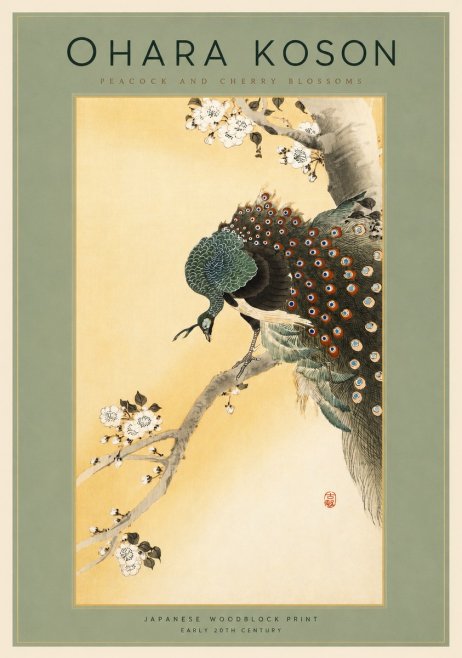 Ohara Koson Peacock and Cherry Blossoms No2 - Plakat