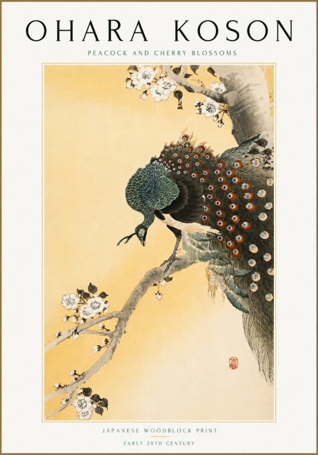 Ohara Koson Peacock and Cherry Blossoms No5 - Plakat