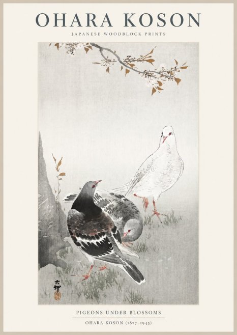 Ohara Koson Pigeons Under Blossoms No1 - Plakat