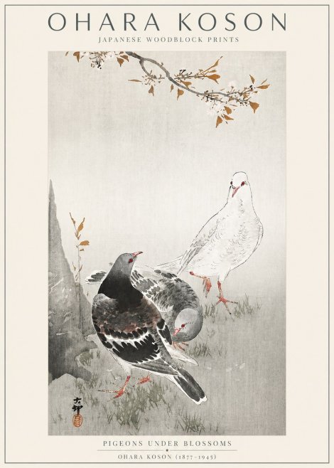 Ohara Koson Pigeons Under Blossoms No3 - Plakat