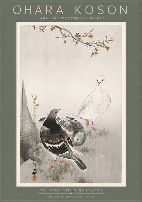 Ohara Koson Pigeons Under Blossoms No5 - Plakat