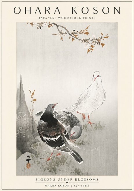 Ohara Koson Pigeons Under Blossoms No6 - Plakat