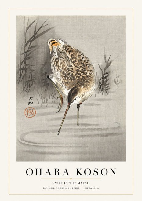 Ohara Koson Snipe in the Marsh No1 - Plakat
