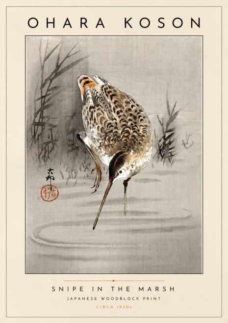 Ohara Koson Snipe in the Marsh No4 - Plakat