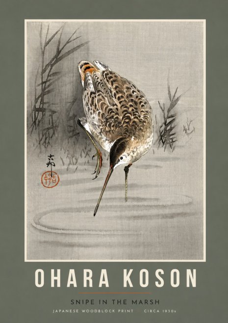 Ohara Koson Snipe in the Marsh No5 - Plakat