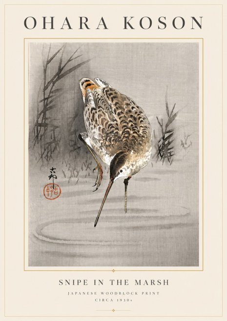 Ohara Koson Snipe in the Marsh No6 - Plakat