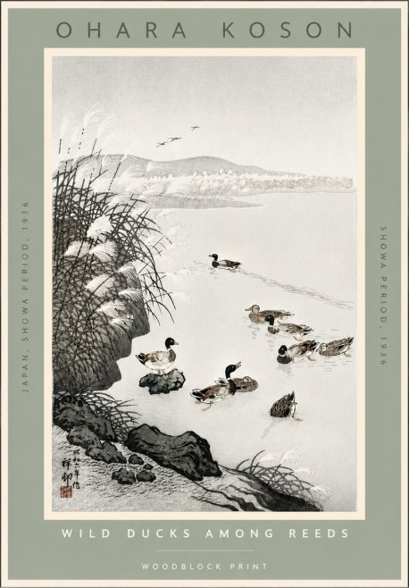 Ohara Koson Wild Ducks Among Reeds No4 - Plakat