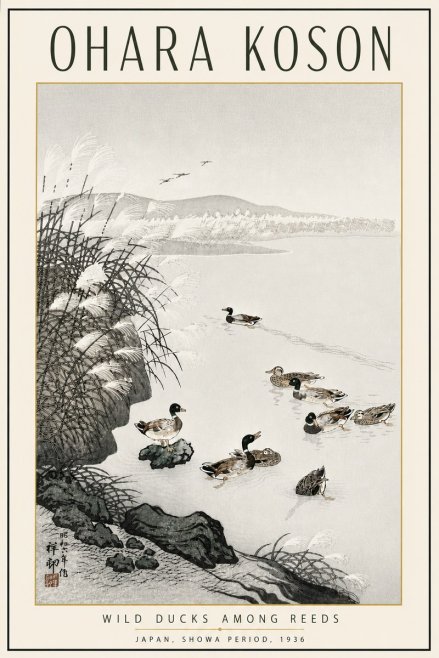 Ohara Koson Wild Ducks Among Reeds No5 - Plakat