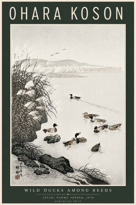 Ohara Koson Wild Ducks Among Reeds No6 - Plakat