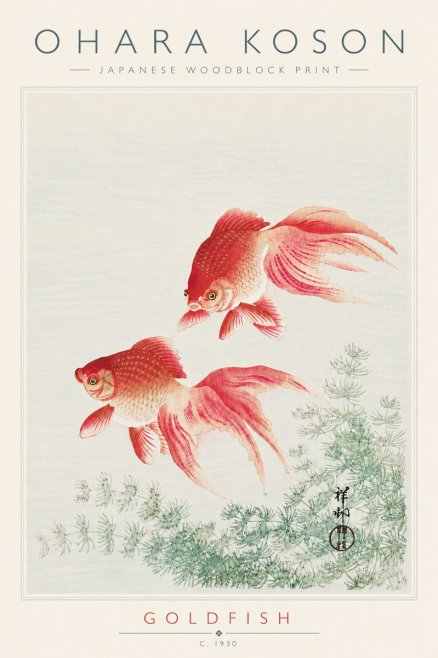 Ohara Koson Goldfish No6 - Plakat
